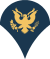 Specialist Rank Insignia