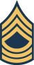 Master Sergeant Rank Insignia