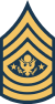 Sergeant Major of the Army Rank Insignia