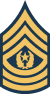 Command Sergeant Major Rank Insignia