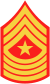 Sergeant Major Rank Insignia