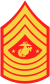 Sergeant Major of the Marine Corps Rank Insignia